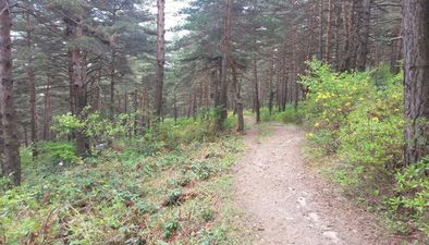 Красные близнецы_4